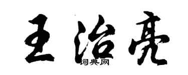 胡问遂王治亮行书个性签名怎么写