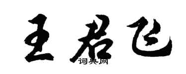 胡问遂王君飞行书个性签名怎么写