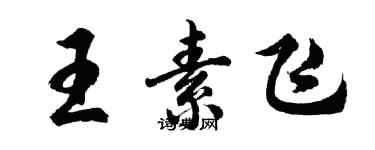 胡问遂王素飞行书个性签名怎么写