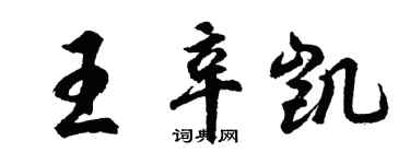 胡问遂王辛凯行书个性签名怎么写