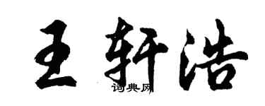 胡问遂王轩浩行书个性签名怎么写
