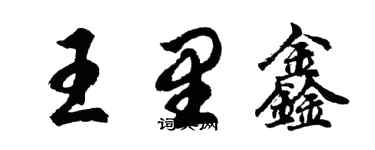胡问遂王里鑫行书个性签名怎么写