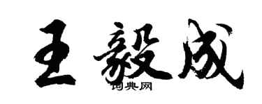 胡问遂王毅成行书个性签名怎么写