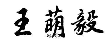胡问遂王萌毅行书个性签名怎么写