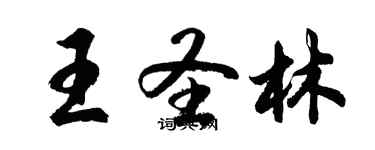 胡问遂王圣林行书个性签名怎么写