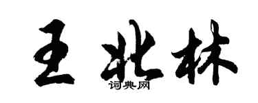 胡问遂王北林行书个性签名怎么写