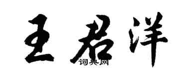 胡问遂王君洋行书个性签名怎么写