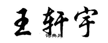 胡问遂王轩宇行书个性签名怎么写