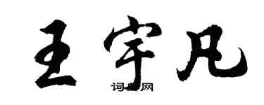 胡问遂王宇凡行书个性签名怎么写