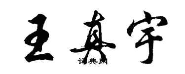 胡问遂王真宇行书个性签名怎么写