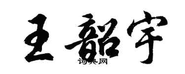 胡问遂王韶宇行书个性签名怎么写