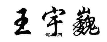 胡问遂王宇巍行书个性签名怎么写