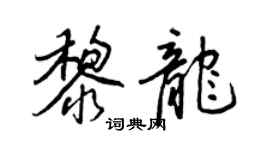 王正良黎龙行书个性签名怎么写