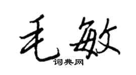 王正良毛敏行书个性签名怎么写