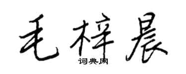 王正良毛梓晨行书个性签名怎么写