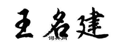 胡问遂王名建行书个性签名怎么写