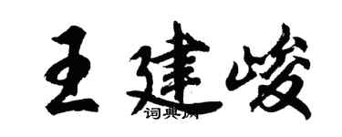 胡问遂王建峻行书个性签名怎么写