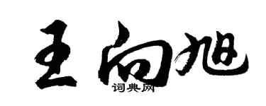 胡问遂王向旭行书个性签名怎么写