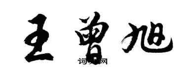 胡问遂王曾旭行书个性签名怎么写