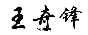 胡问遂王奇锋行书个性签名怎么写