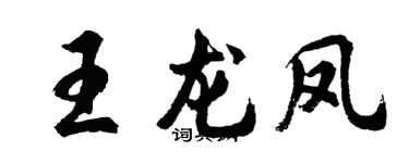 胡问遂王龙凤行书个性签名怎么写