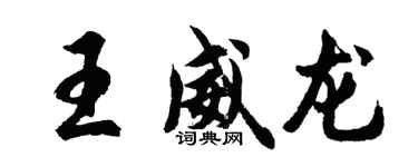 胡问遂王威龙行书个性签名怎么写