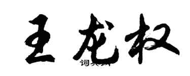 胡问遂王龙权行书个性签名怎么写