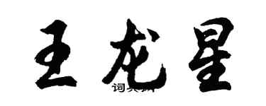 胡问遂王龙星行书个性签名怎么写