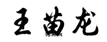 胡问遂王苗龙行书个性签名怎么写