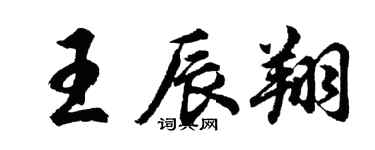 胡问遂王辰翔行书个性签名怎么写