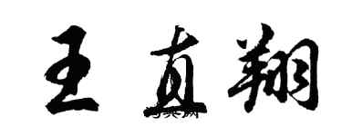 胡问遂王直翔行书个性签名怎么写