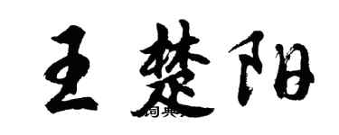 胡问遂王楚阳行书个性签名怎么写