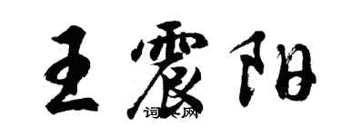胡问遂王震阳行书个性签名怎么写