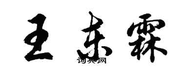 胡问遂王东霖行书个性签名怎么写