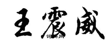 胡问遂王震威行书个性签名怎么写