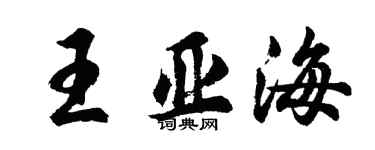 胡问遂王亚海行书个性签名怎么写