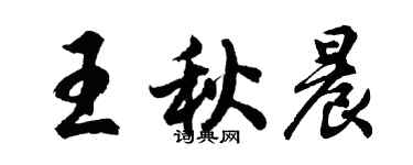 胡问遂王秋晨行书个性签名怎么写