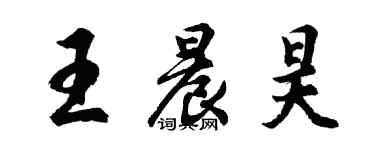 胡问遂王晨昊行书个性签名怎么写
