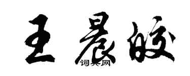 胡问遂王晨皎行书个性签名怎么写