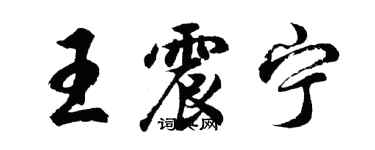 胡问遂王震宁行书个性签名怎么写