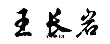 胡问遂王长岩行书个性签名怎么写