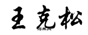 胡问遂王克松行书个性签名怎么写