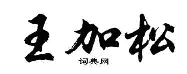胡问遂王加松行书个性签名怎么写