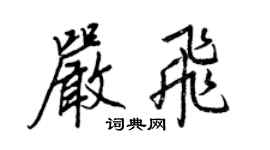王正良严飞行书个性签名怎么写
