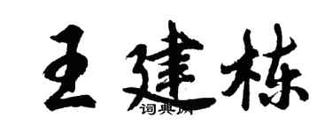 胡问遂王建栋行书个性签名怎么写