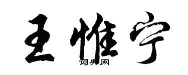 胡问遂王惟宁行书个性签名怎么写