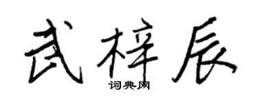 王正良武梓辰行书个性签名怎么写