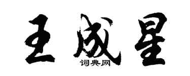 胡问遂王成星行书个性签名怎么写