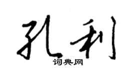 王正良孔利行书个性签名怎么写