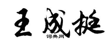 胡问遂王成挺行书个性签名怎么写